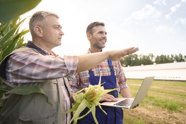 Two workers in a field – RNIP Canada immigration