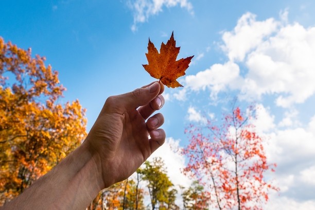 Canadian Climate affecting migrant settlement
